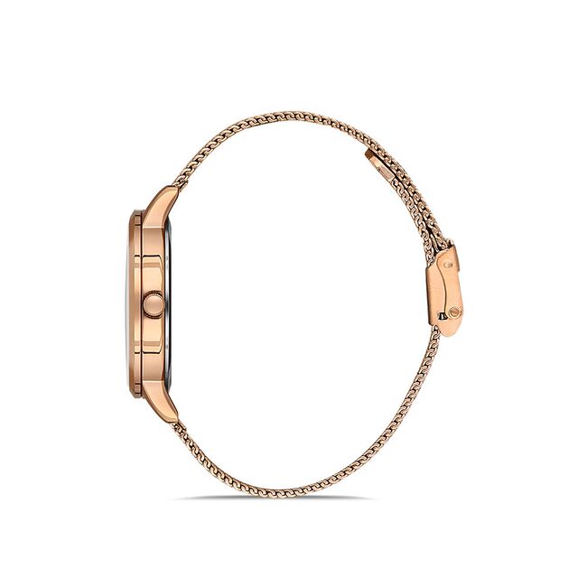 Ceas Daniel Klein Premium DK.1.13036.3