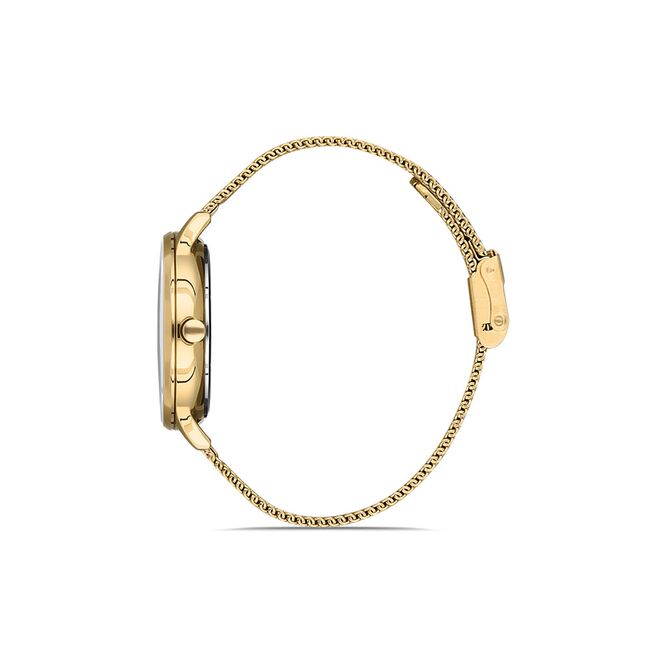 Ceas Daniel Klein Premium DK.1.13043.3