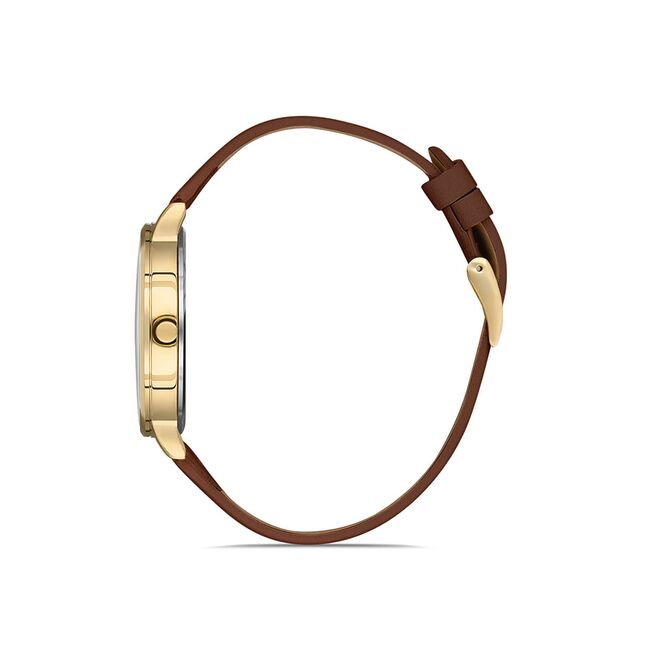 Ceas Daniel Klein Premium DK.1.13046.3