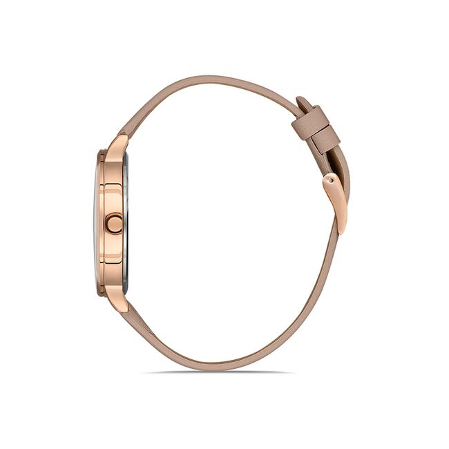 Ceas Daniel Klein Premium DK.1.13046.6