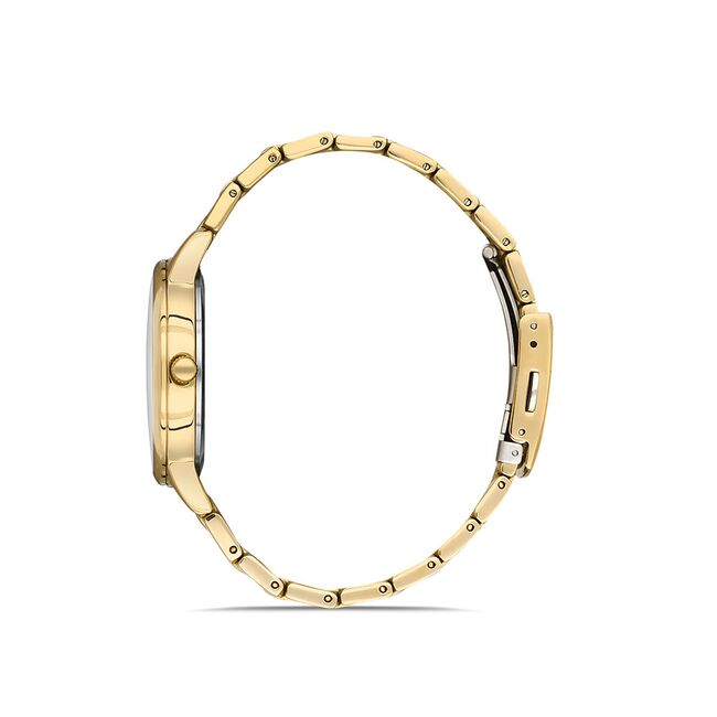 Ceas Daniel Klein Premium DK.1.13052.3