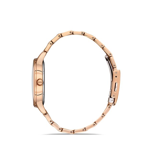 Ceas Daniel Klein Premium DK.1.13052.6