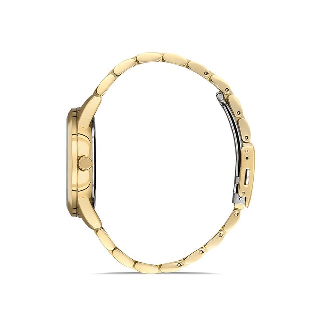 Ceas Daniel Klein Premium DK.1.13055.3