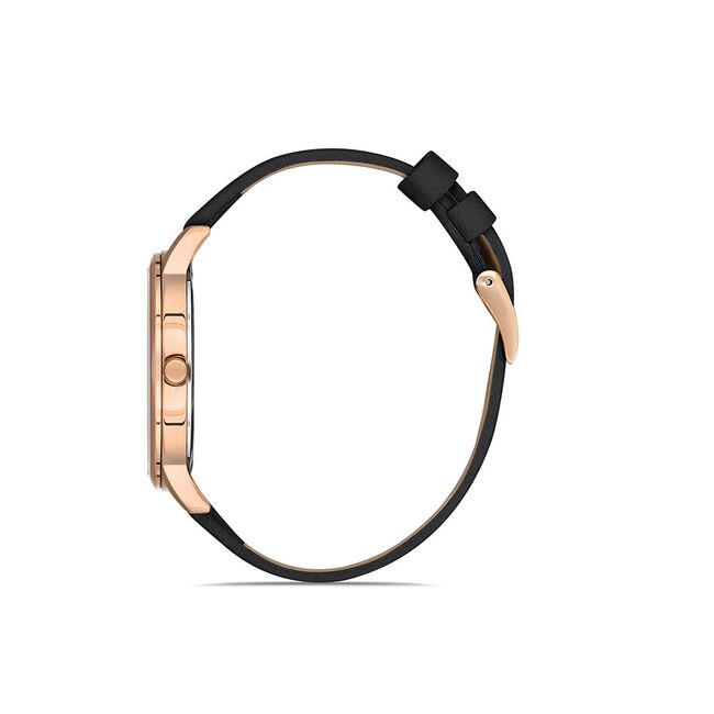 Ceas Daniel Klein Premium DK.1.13057.3