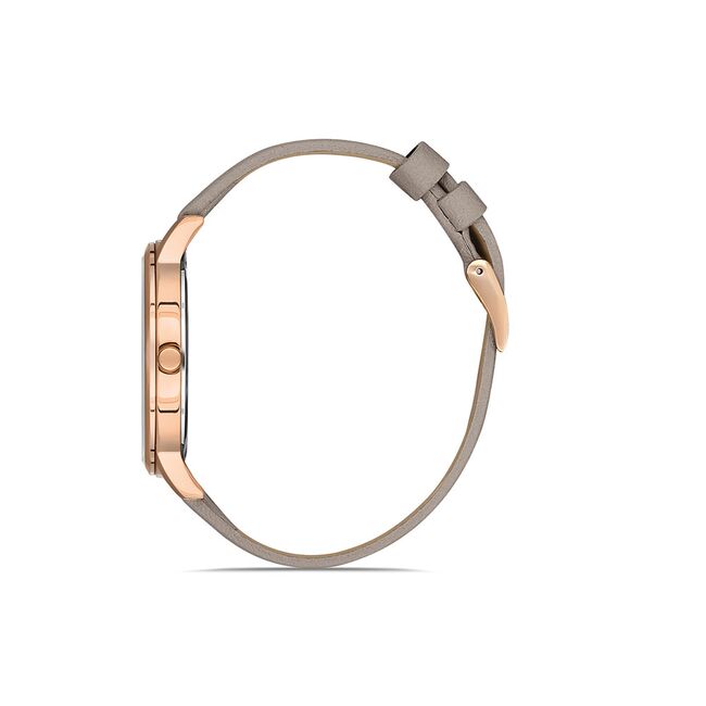 Ceas Daniel Klein Premium DK.1.13057.5