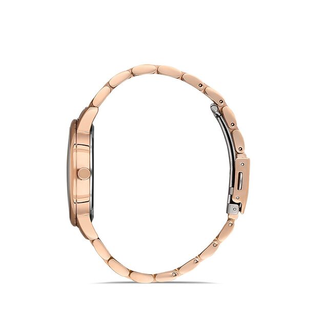 Ceas Daniel Klein Premium DK.1.13059.5