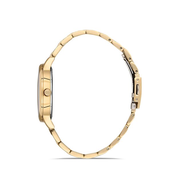 Ceas Daniel Klein Premium DK.1.13061.3