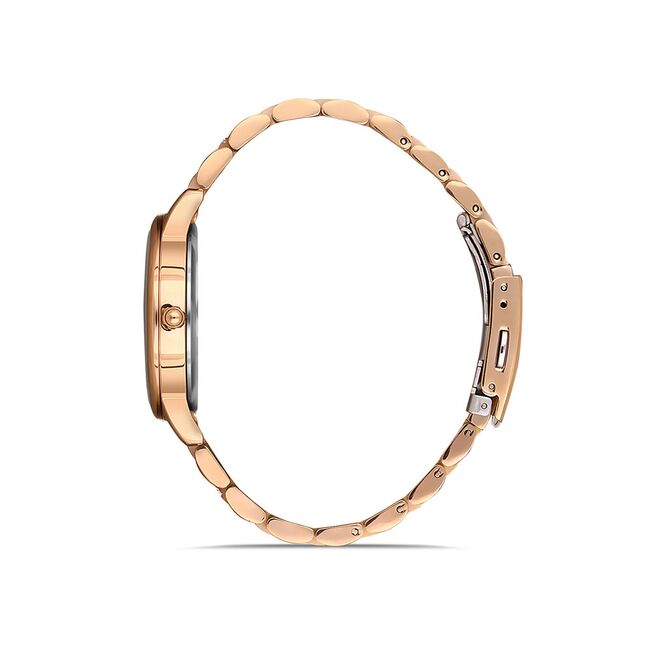 Ceas Daniel Klein Premium DK.1.13090.3