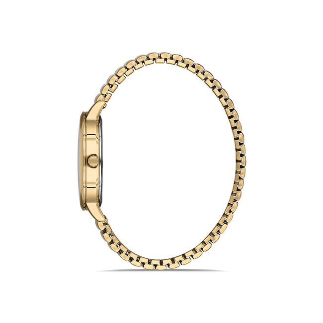 Ceas Daniel Klein Premium DK.1.13097.6