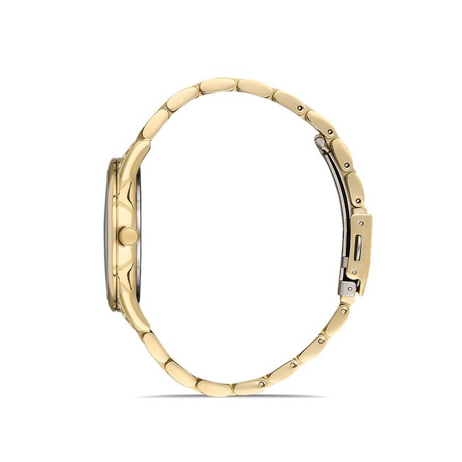 Ceas Daniel Klein Premium DK.1.13150.2