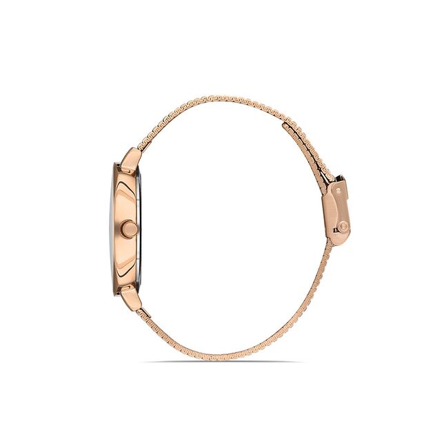 Ceas Daniel Klein Premium DK.1.13151.2