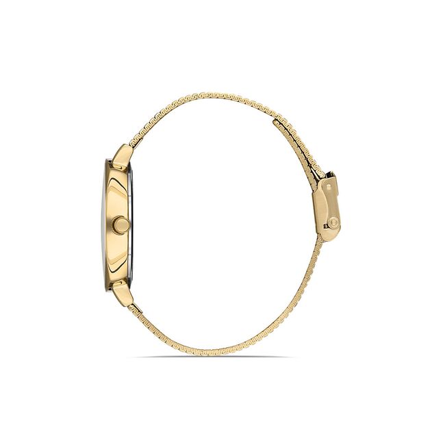 Ceas Daniel Klein Premium DK.1.13151.3