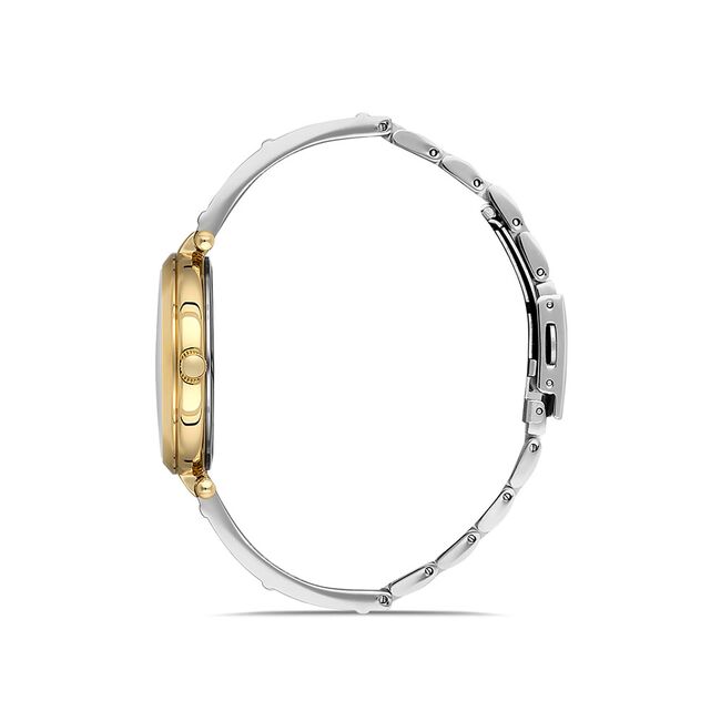 Ceas Daniel Klein Premium DK.1.13155.1