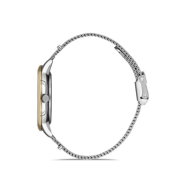 Ceas Daniel Klein Premium DK.1.13156.4