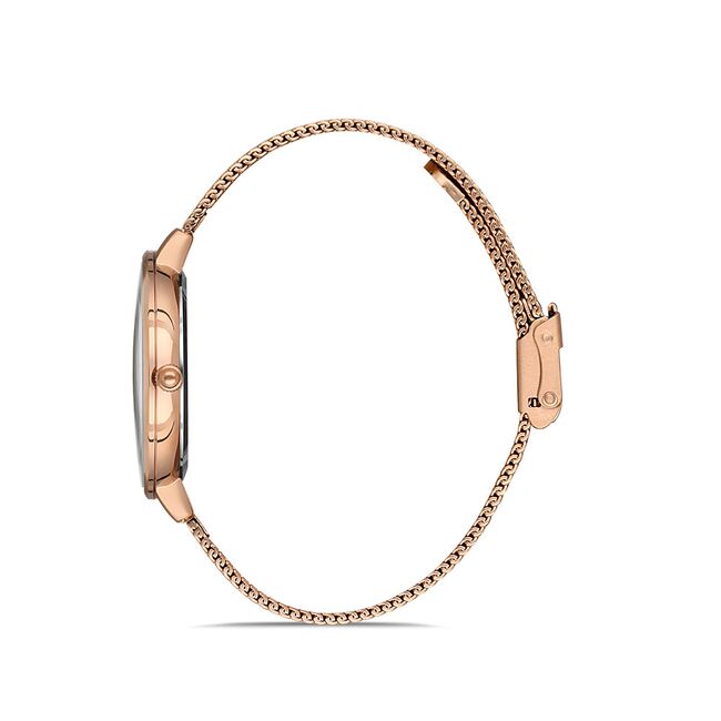 Ceas Daniel Klein Premium DK.1.13159.3