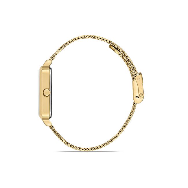 Ceas Daniel Klein Premium DK.1.13161.4