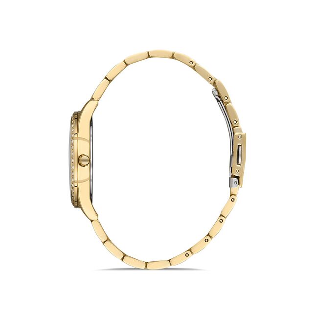 Ceas Daniel Klein Premium DK.1.13166.2