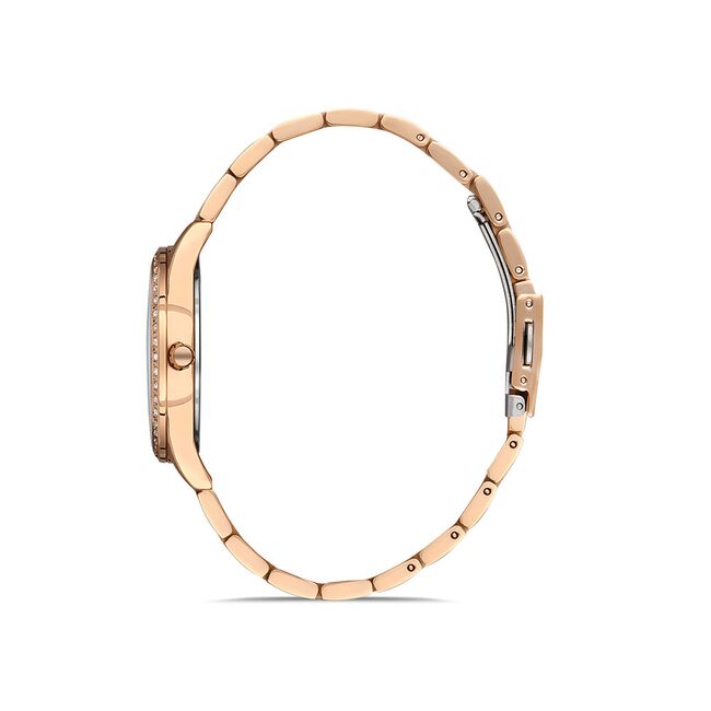 Ceas Daniel Klein Premium DK.1.13166.3