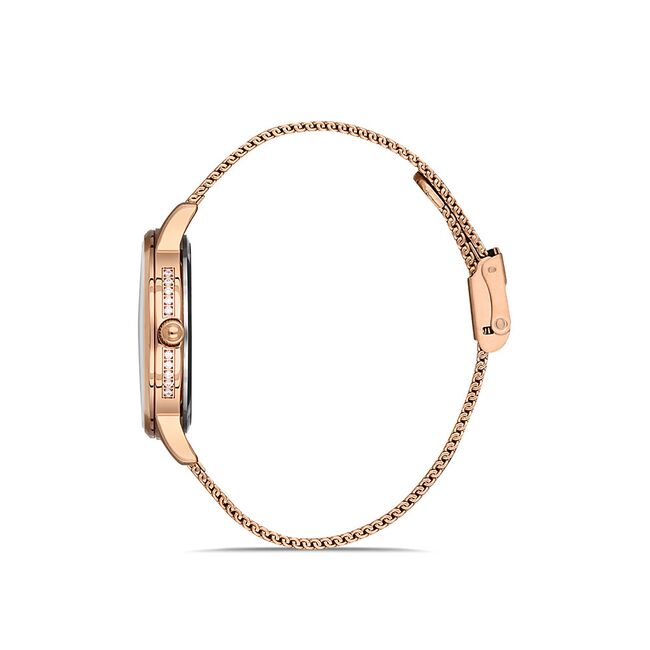 Ceas Daniel Klein Premium DK.1.13184.3