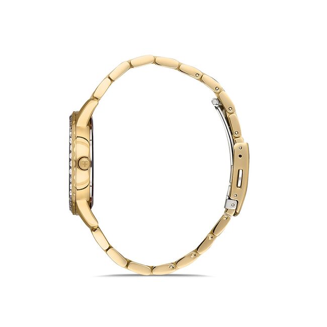 Ceas Freelook Lumiere FL.1.10258.3