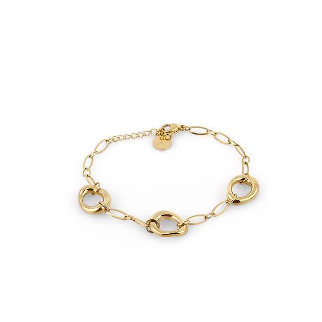Bratara aurie, Daniel Klein, pentru dama, din otel inoxidabil, DKJ.3.1022-4