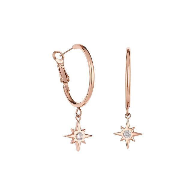 Cercei auriu rose, Freelook, pentru dama, din otel inoxidabil, FRJ.3.5009-4