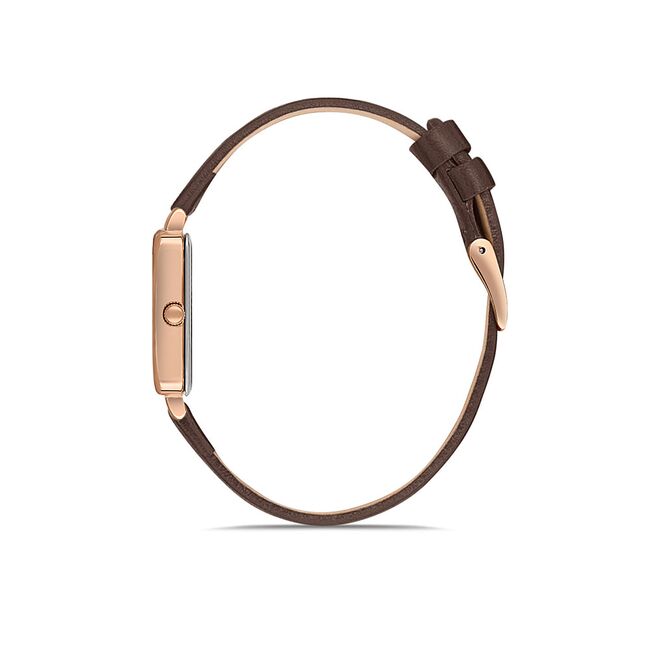 Ceas Daniel Klein Fiord DK.1.13232.2