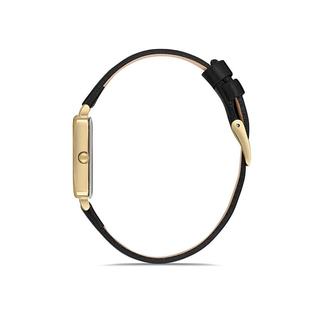 Ceas Daniel Klein Fiord DK.1.13232.3