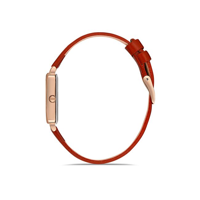 Ceas Daniel Klein Fiord DK.1.13232.6