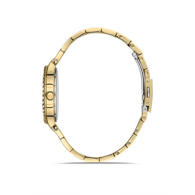 Ceas Daniel Klein Premium DK.1.13205.3