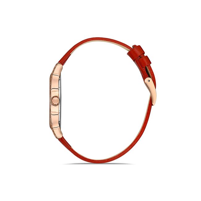 Ceas Daniel Klein Premium DK.1.13209.5