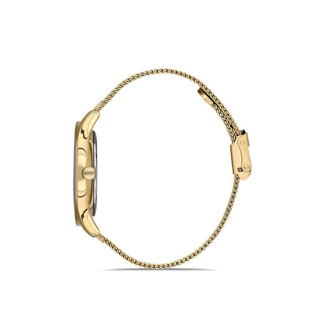 Ceas Daniel Klein Premium DK.1.13222.2