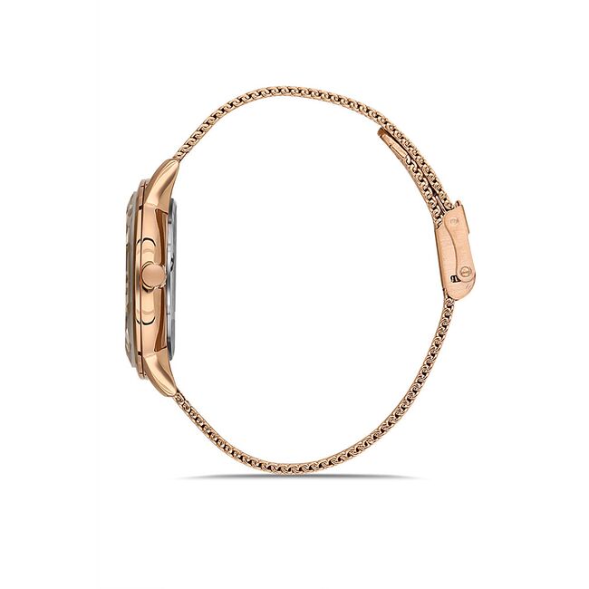 Ceas Daniel Klein Premium DK.1.13226.2