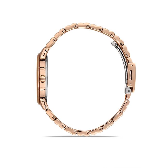 Ceas Daniel Klein Premium DK.1.13230.4