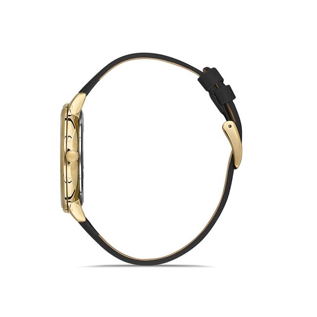 Ceas Daniel Klein Premium DK.1.13245.2