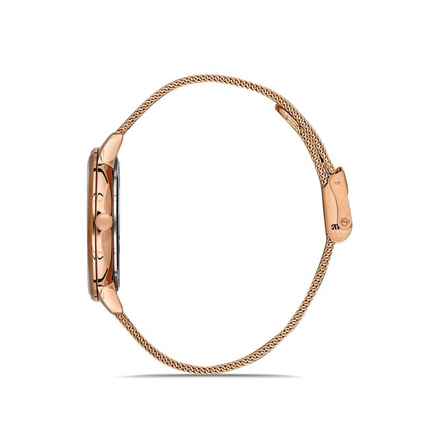 Ceas Daniel Klein Premium DK.1.13246.3