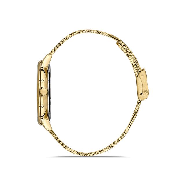 Ceas Daniel Klein Premium DK.1.13246.4