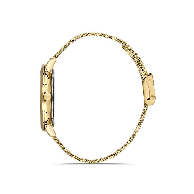 Ceas Daniel Klein Premium DK.1.13246.5