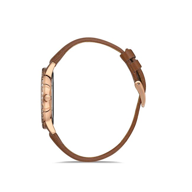 Ceas Daniel Klein Premium DK.1.13254.5