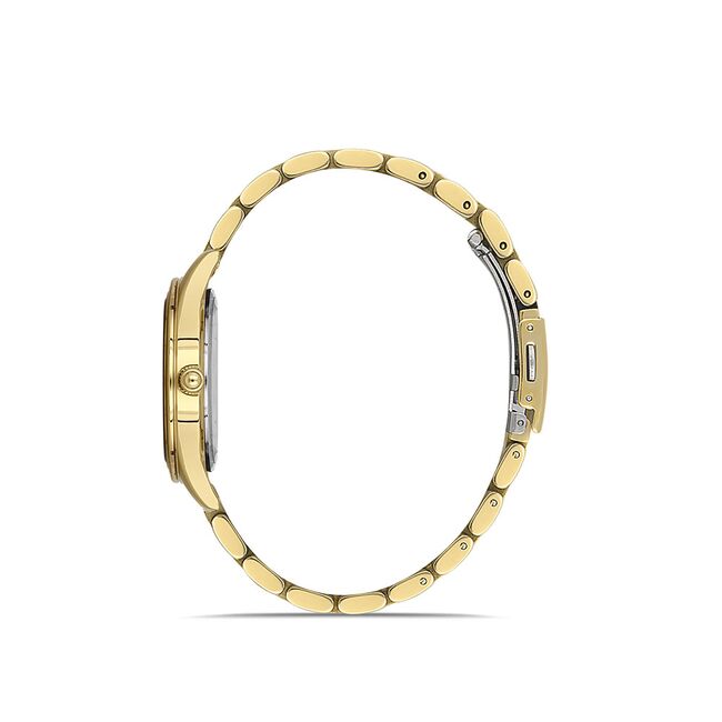 Ceas Daniel Klein Premium DK.1.13258.3