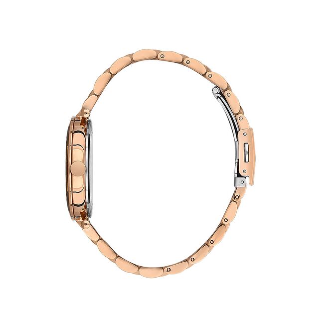 Ceas Daniel Klein Premium DK.1.13435.5