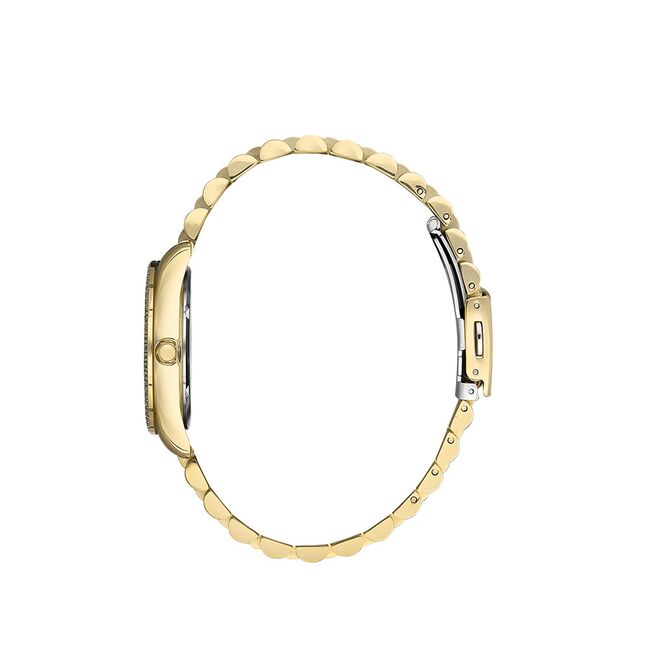 Ceas Daniel Klein Premium DK.1.13445.3