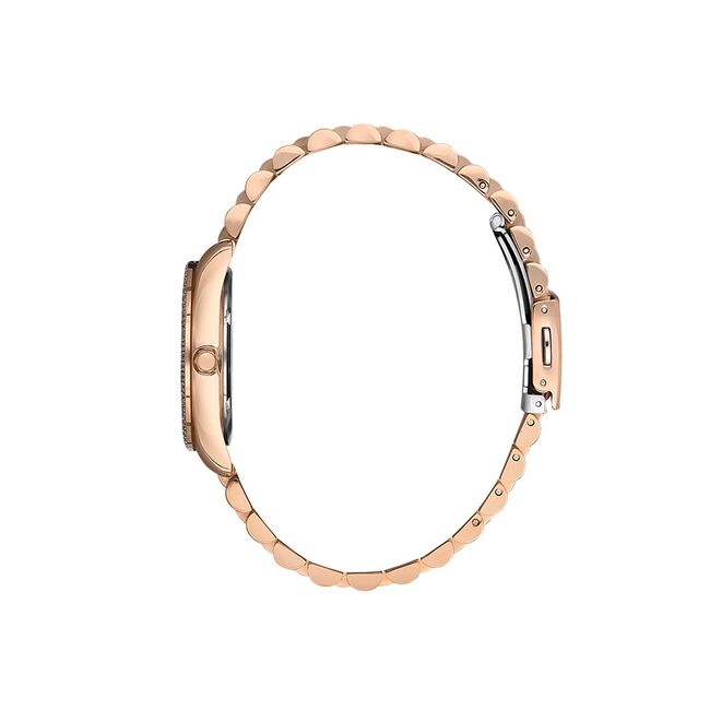 Ceas Daniel Klein Premium DK.1.13445.6