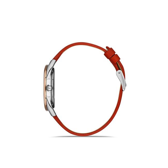 Ceas Daniel Klein Trendy DK.1.13352.5