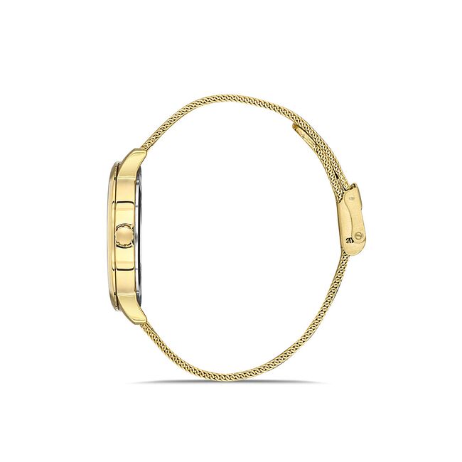 Ceas Daniel Klein Trendy DK.1.13354.4