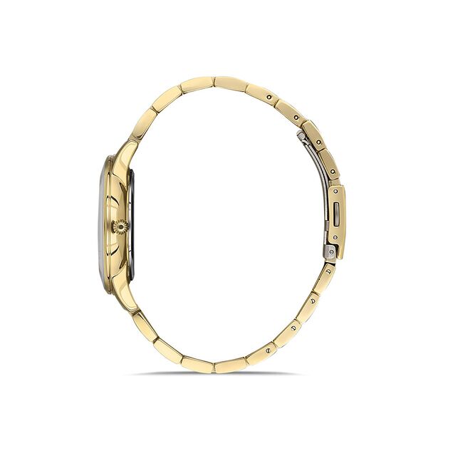 Ceas Daniel Klein Premium DK.1.13251.2