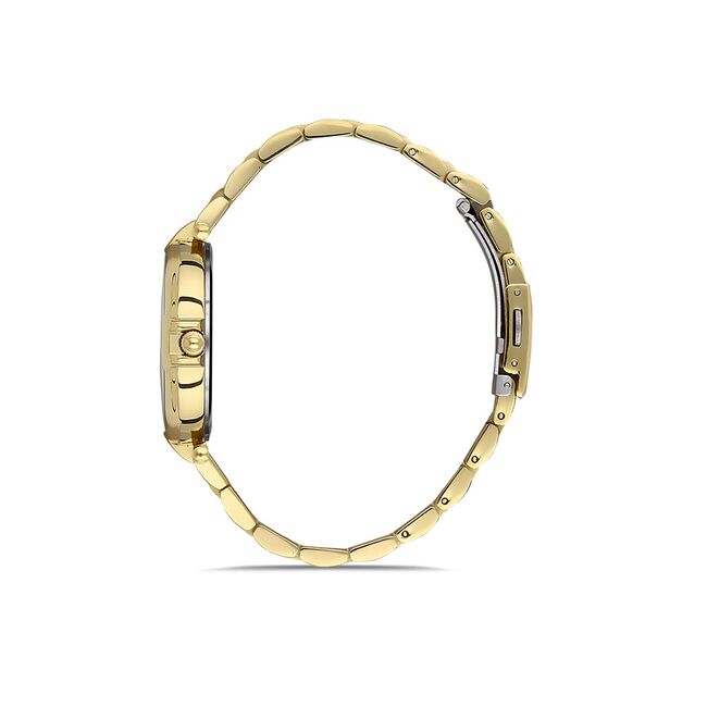 Ceas Daniel Klein Premium DK.1.13331.2