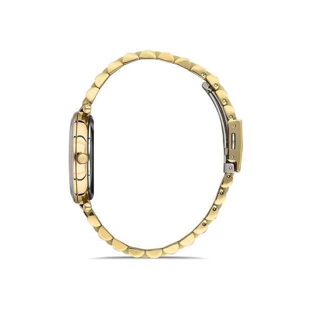 Ceas Daniel Klein Premium DK.1.13332.2