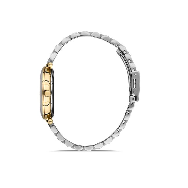 Ceas Daniel Klein Premium DK.1.13332.3