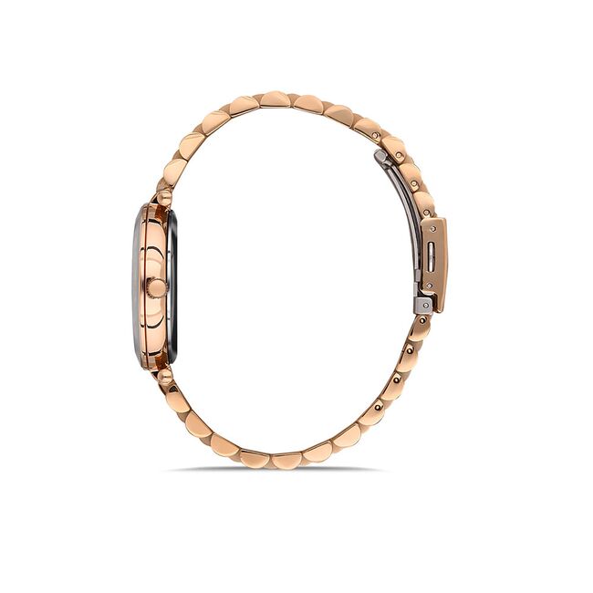 Ceas Daniel Klein Premium DK.1.13332.6